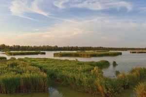 ferrara terra e acqua