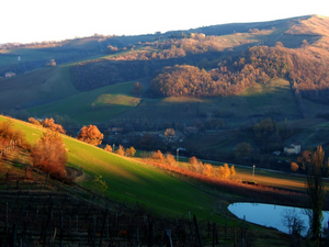 i dintorni di levizzano