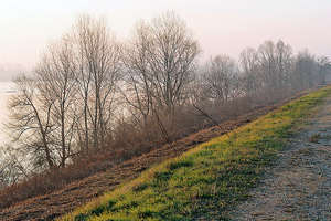 paesaggio delle casse di espansione del fiume secchia