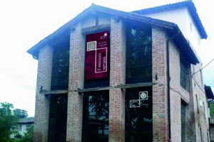 museo graziosi a savignano