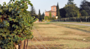 La tenuta Cialdini di Chiarli a Castelvetro