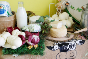 azienda agricola casumaro