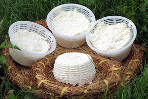 ricotta