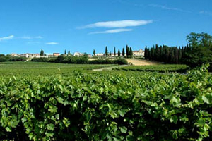 valpolicella