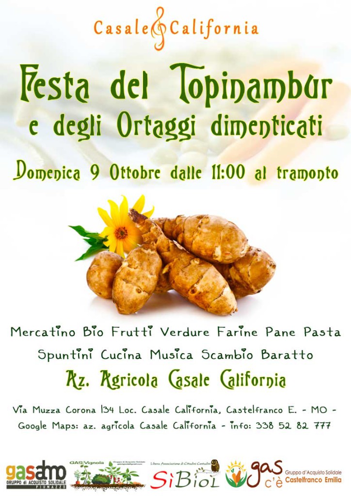 casale california volantino