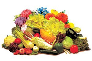 dalla terra alla tavola