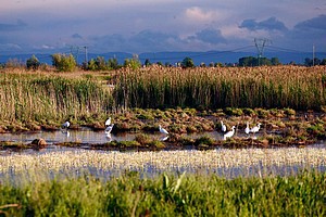 le valli di mirandola