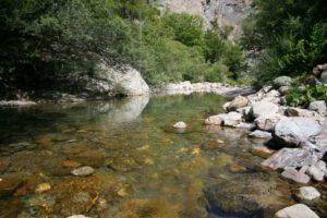 MTB con il CAI: La Selva Romanesca @ Piandellagotti